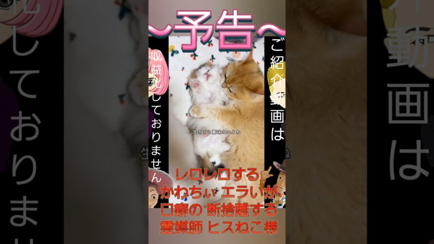 ～予告～ レロレロする かわちぃ エラいが 口癖の 断捨離する 霊媒師 ヒスねこ様#なんやねん#ダル#エライ#かわちぃ#楽しそう#ヒス#ネコっぷり#メンヘラ#キショイ#中二病#GW#春休み#夏休み#冬