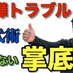 『武術を使った護身術』ケンカトラブル！拳より使いやすい強力な掌低入門