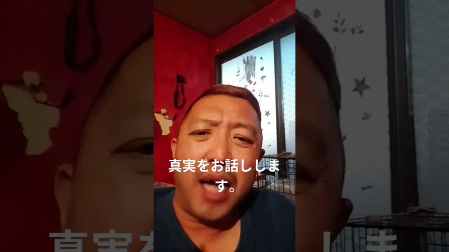ウソは言わない。 #田園調布club #humor #サザエさん次回予告 #紅茶のとびら #お笑い #1日葬 #田園調布clubファン #funny #真名井の滝 #紅茶ん