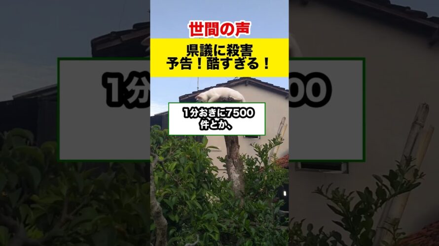 【世間の反応】県議に殺害予告級の誹謗中傷！誰が？一体なぜ？#shorts