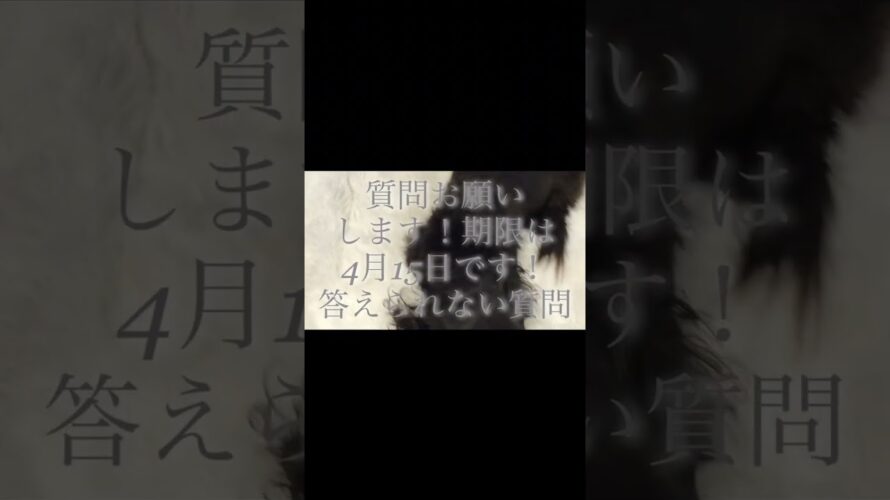 質問コーナー予告#short