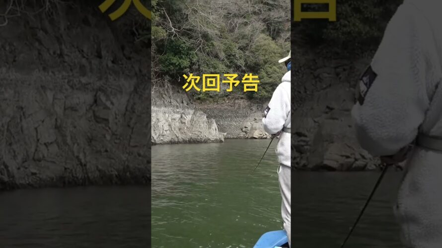 次回予告！！！津久井湖編2 #バス釣り #釣り #バスフィッシング #fishing #bass#bassfishing #津久井湖#相模湖#釣り#コヤーマン
