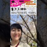 もっさんぽ次回予告【イクコさんとまちなかMuseum】 #もっさんぽ