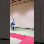 無想剣(1698)「負けとも思わない」 #兵法  #武士  #護身術  #心法の剣術  #潜在能力の剣  #夕雲流  #明鏡止水  #剣舞  #martialarts  #samurai  #侍