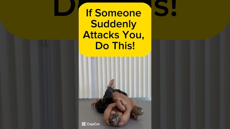 #호신술 #Self-Defense #自卫术 #DefensaPersonal #आत्मरक्षा #Autodéfense #護身術 #MartialArts #ArtesMarciales