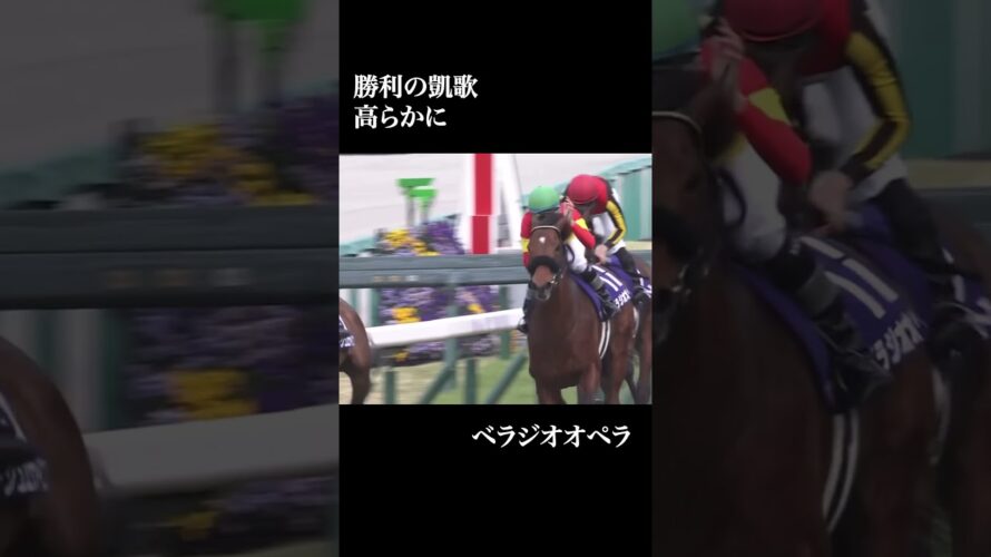 【予告】大阪杯2025  #競馬 #大阪杯 #ジャスティンパレス #ロードデルレイ #ステレンボッシュ #べラジオオペラ #シックスペンス