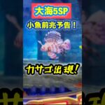 【大海5SP】小魚前兆予告で『カサゴ』出現⭐️ #パチンコ #海物語 #大海物語5スペシャル