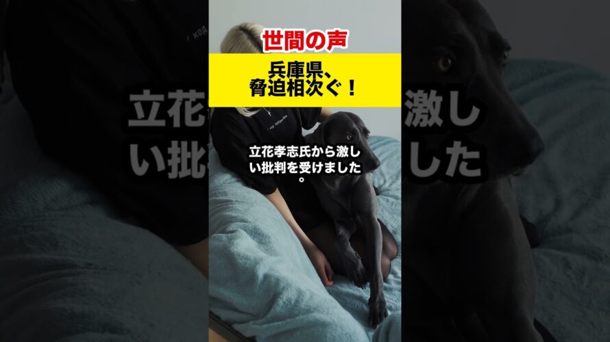 【世間の反応】兵庫県議らに脅迫相次ぐ！殺害予告も！人権侵害も発生？#shorts