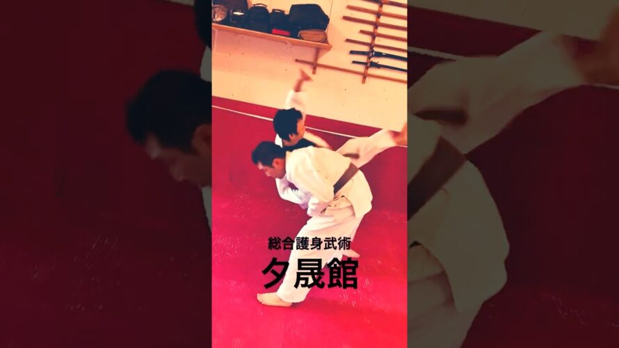 豊川市の習い事　護身のための柔術