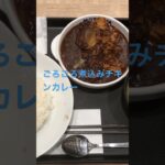 ごろごろ煮込みチキンカレー　予告